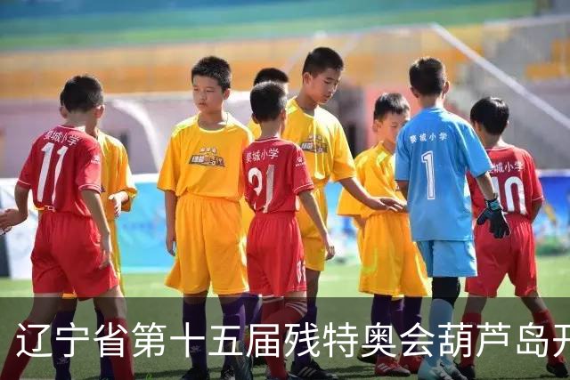辽宁省第十五届残特奥会葫芦岛开赛 356名健儿参与角逐